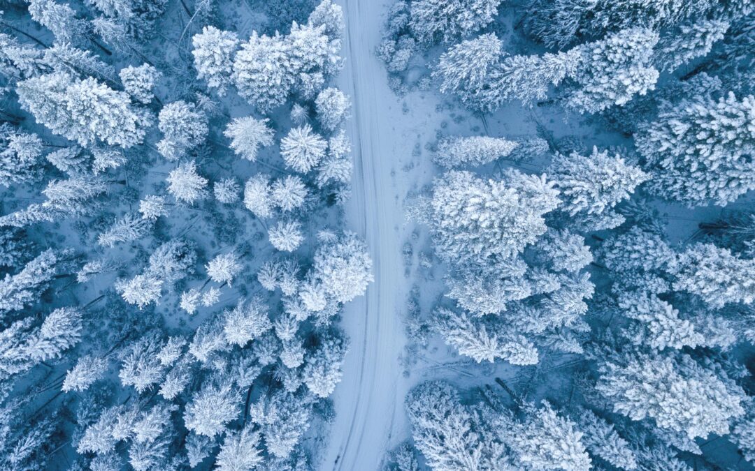 Focused on Quality. Driven by Innovation. Understanding and Preventing Cold Stress: A Guide for Outdoor Workers and Truck Drivers